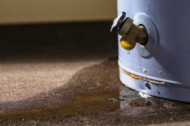 Best Professional water damage repair  in Kiryas Joel, NY