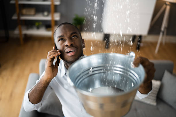 Best Ceiling water damage repair  in Kiryas Joel, NY