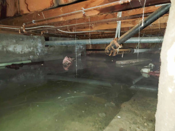 Best Water damage cleanup near me  in Kiryas Joel, NY