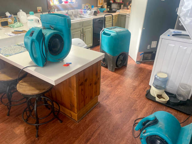 Best 24/7 water damage repair  in Kiryas Joel, NY