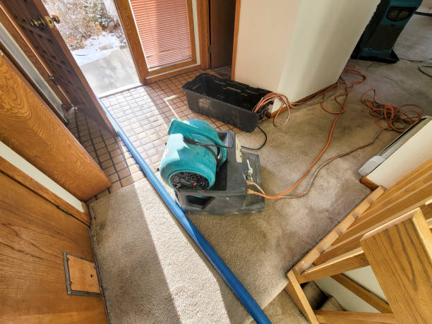 Best Flood damage cleanup  in Kiryas Joel, NY