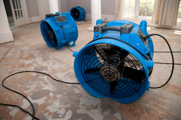 Best Basement water damage restoration  in Kiryas Joel, NY