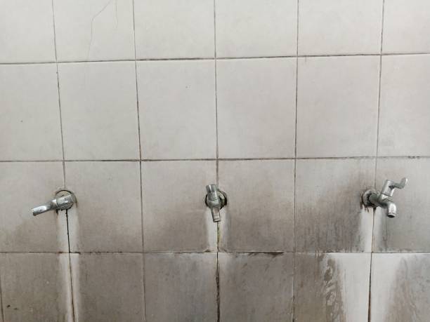 Best Ceiling water damage repair  in Kiryas Joel, NY